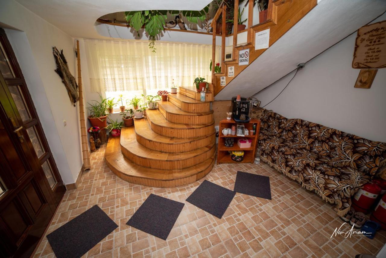 Arieşeni Casa Binu酒店 外观 照片